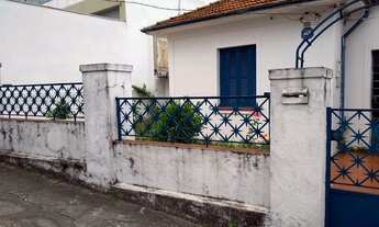 Imagem: São Paulo - Casa Padrão - Vila Clementino