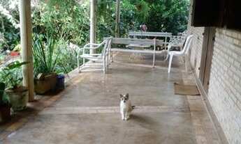 Imagem 6: São Miguel dos Milagres -AL