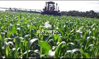 Imagem 4: Fazenda de Lavora 284 Alqueires, Caseara, 159 Km de Palmas