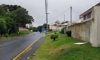 Imagem 3: Araucária - Casa Padrão - Thomaz Coelho