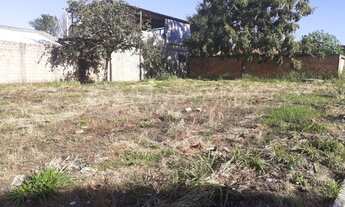 Imagem 6: Aparecida de Goiânia - Terreno Padrão - Independência