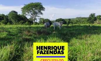 Imagem 4: Fazenda na região de Luzimangues dupla aptidão