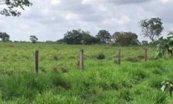Imagem: Fazenda rural no município de caroebe