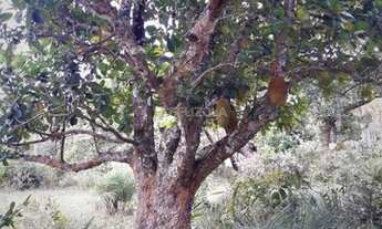 Imagem 3: Lote à venda, CENTRO - ESTANCIA/SE