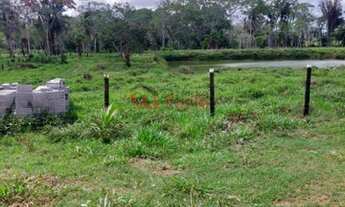 Imagem 7: Fazenda Pecuária no Sul da Bahia - OPORTUNIDADE