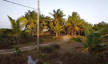 Imagem 6: Área em atins Terreno / lote com venda por R$7.000.000