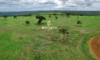 Imagem 2: Fazenda de 32.3 alqueires, 50 km de Palmas