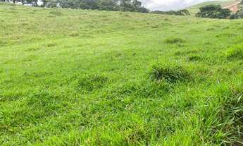 Imagem 5: EC - Vendo Terreno para Lazer e Tranquilidade, Venha Conferir !!