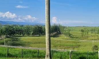 Imagem 2: 7887 - Excelente Sítio em Caçapava