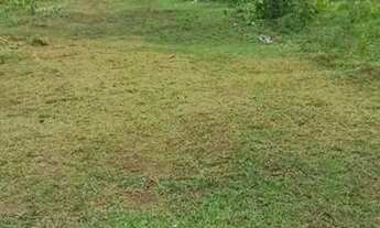 Imagem 4: Vendo de terreno