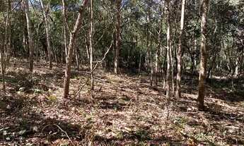 Imagem 5: Chácaras com Rio vermelho ótima para lazer e pesca!