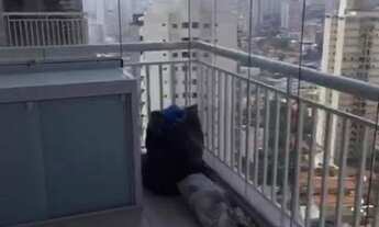 Imagem 3: Excelente apartamento Varanga Gourmet 2 dorm 2 vagas Vila Mariana