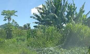 Imagem 3: Terrenos em Jaconé