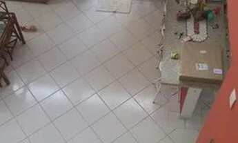 Imagem 7: Sobrado à venda, Araribá, Ubatuba, SP