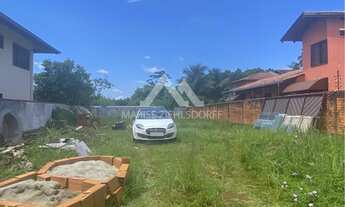 Imagem 6: MZ0117 - ÓTIMO TERRENO PLANO NO BUCAREIN - JOINVILLE SC