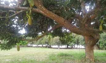 Imagem 7: Chácaras parque do Lago