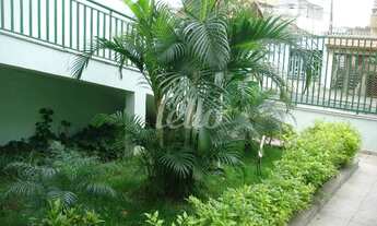 Imagem 5: São Paulo - Casa Padrão - Penha