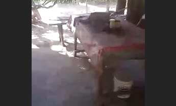 Imagem 5: Chacara na beira do riu uru