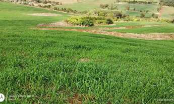 Imagem 4: Sitio de 5 alqueiro planta 4 regiao de Asai-pr