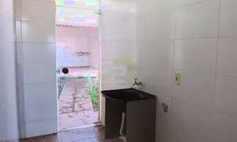 Imagem 7: Locação de Casas / Padrão na cidade de São Carlos