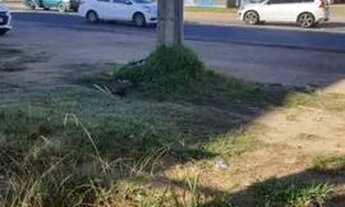 Imagem 5: Terreno para Venda - 0m², 0 dormitórios, Hípica