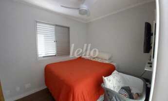 Imagem 7: São Paulo - Apartamento Padrão - Cambuci