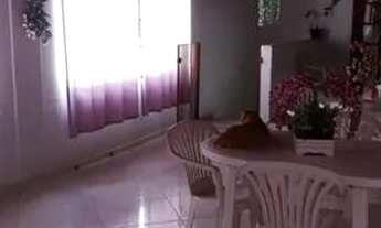 Imagem 3: Sobrado com 6 dormitórios à venda, 278 m² por R$ 390.000,00 - Jardim Ana Maria - Carapicuí