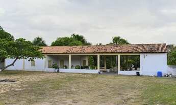 Imagem 5: Sítio com 2 quartos, igarapé