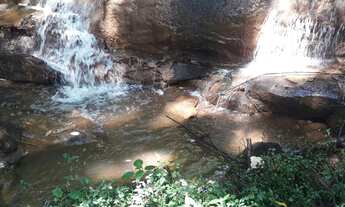 Imagem 4: Vendo Sitio 54.000 m² Com Renda - Aceito Permuta