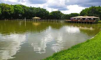 Imagem: Vende-se pesqueiro a 30 km de Goiânia