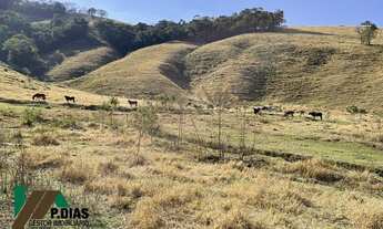 Imagem 4: Excelente Oportunidade Terreno/Gleba em Toledo, Sul de Minas