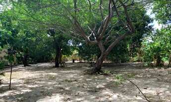 Imagem 5: Terreno à venda, 5200 m² por R$ 1.700.000,00 - Lagoa Redonda - Fortaleza/CE