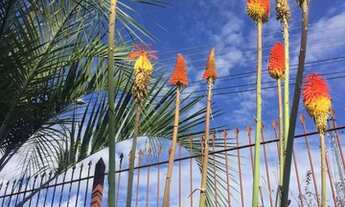 Imagem 7: Casa Vila Seca Casa com 4 dormitórios