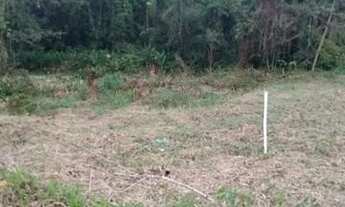 Imagem 4: Terreno para Venda em Ubatuba, Rio da Prata