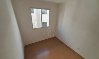 Imagem 5: Araçatuba - Apartamento - Jardim Paulista