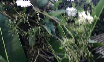 Imagem 6: Casa filé na Glória vista mar c/ 4qts, send 2suítes, 3brs, 1vg, piscin, churrqr, quintl, a