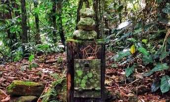 Imagem 2: Casa com 3 dormitórios, 400 m² - venda por R$ 2.300.000,00 ou aluguel por R$ 12.001,00/mês