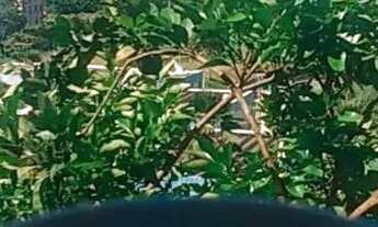 Imagem 4: Aluga-se Casa - KITNET