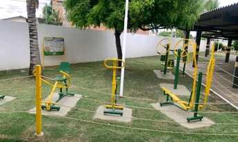 Imagem 13: Palm Ville 66752