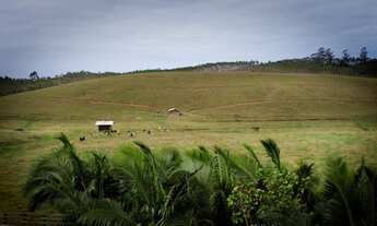 Imagem: Chácaras de 20.500 m2 escrituradas a venda