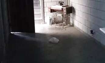 Imagem 6: Galpão à venda, 500 m² por R$ 3.700.000,00 - Jardim - Santo André/SP