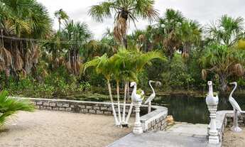 Imagem 7: Sítio com 2 quartos, igarapé