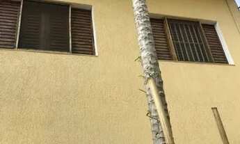 Imagem 5: Sobrado para aluguel tem 180 metros quadrados com 3 quartos em Santana - São Paulo - SP