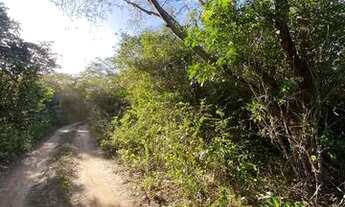 Imagem: Imóvel para venda com 300 na serra do Crato