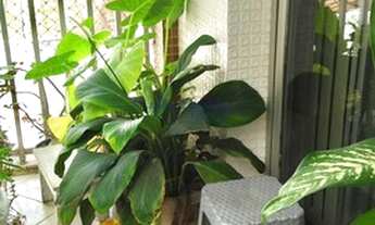 Imagem 2: Rio de Janeiro - Apartamento Padrão - Jardim Oceânico (Barra da Tijuca