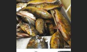 Imagem 7: Vendo sítio no lago do araçá