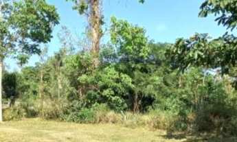 Imagem 6: Chácara Chácara com venda por R$142.000