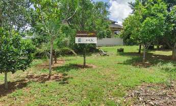 Imagem: Fazenda na Região de Nerópolis-GO ! 20