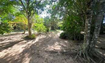 Imagem 15: Maravilhoso Sitio em Condomínio Fechado com Portaria 24 horas