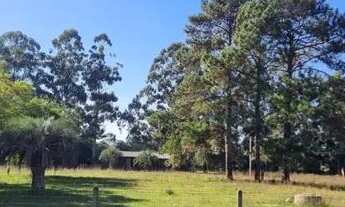 Imagem 3: Velleda oferece magnífico sítio, 12 hectares, na Águas Claras